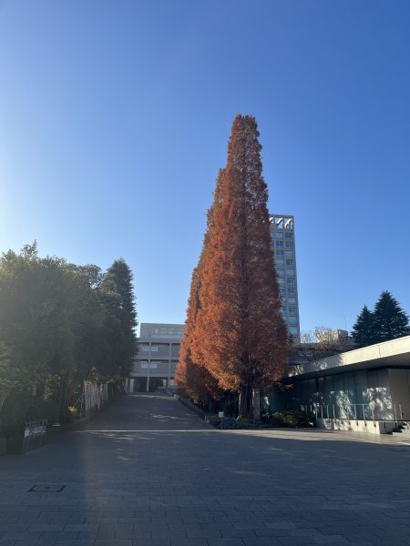 太気拳協会合同稽古会