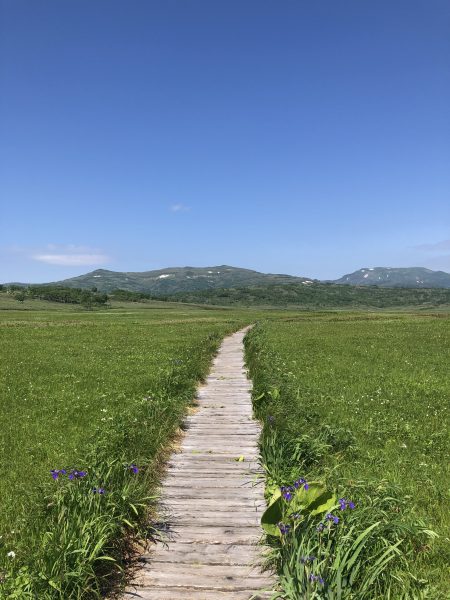 自然は「今」のみ