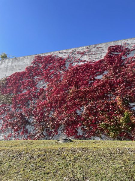 弾力のある身体と地面からの反力
