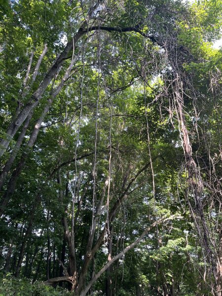 基準をつくる