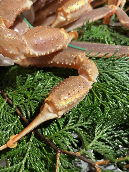 大阪の仲間との稽古