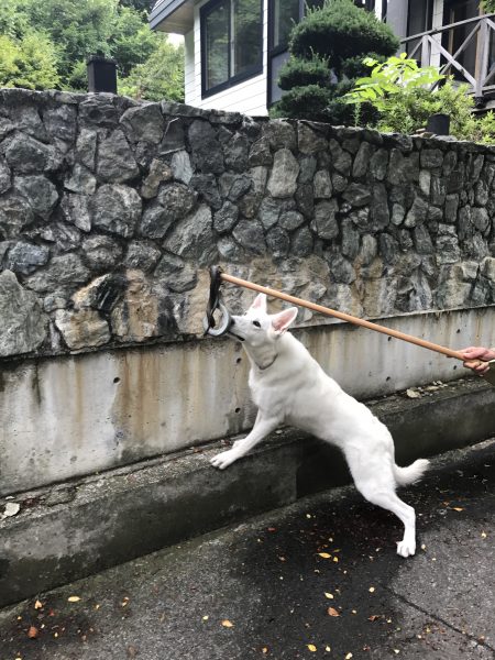 労働の質の転換