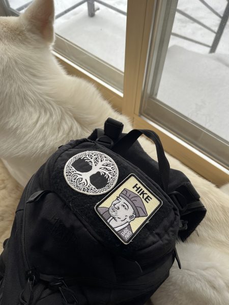 太気拳合同稽古会